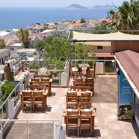 Neruda Hotel